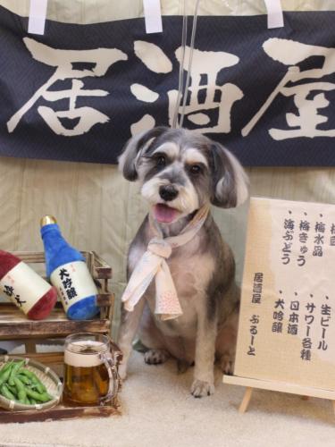 20240615パピコくん